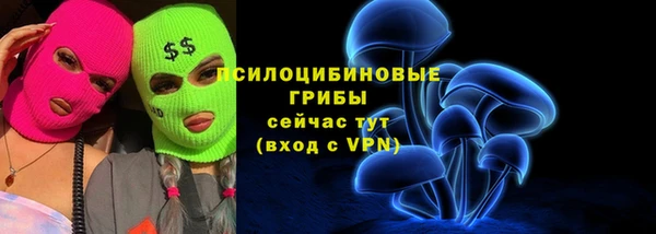спайс Верея
