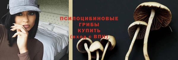 соль ск Волоколамск