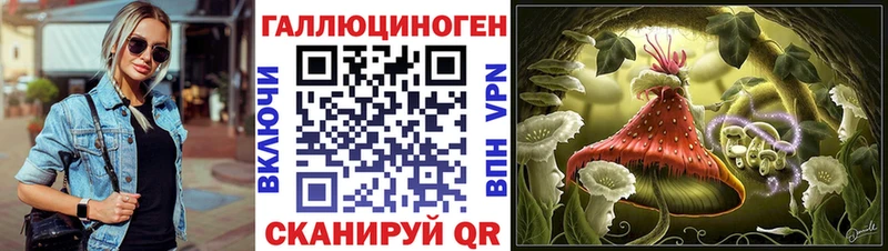 Купить где  Куртамыш  Псилоцибиновые грибы ЛСД 